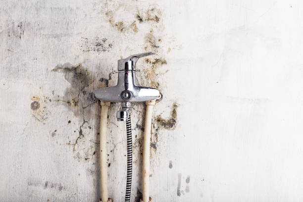Best Residential Mold Remediation in Splendora, TX