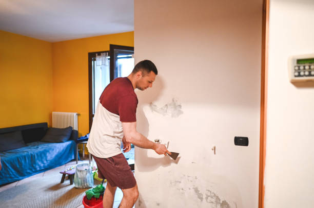 Best Mold Testing and Inspection Services in Splendora, TX